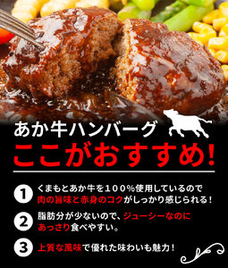 GI認証取得 くまもとあか牛100％使用 くまもとあか牛ハンバーグ 150g×10パック あか牛 ハンバーグ 牛肉 肉 国産 九州産 熊本県産 冷凍《30日以内に出荷(土日祝除く)》