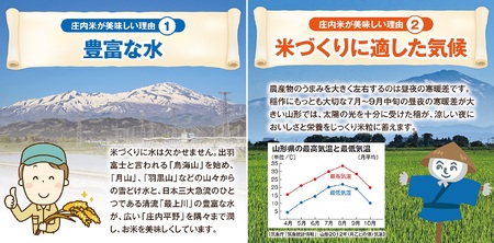 SE0473　令和7年産【精米】特別栽培米 つや姫　10kg(5kg×2袋) JM