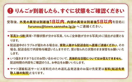 青森県産りんご サンふじ 訳ありりんご 約3kg サイズおまかせ 青森県 三戸町 BW-25-001 