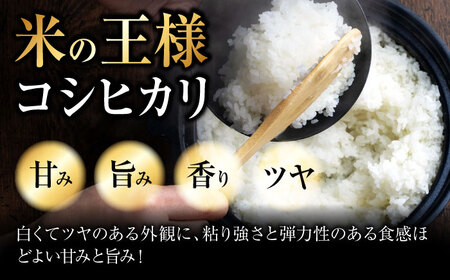 【全2回定期便】こしひかり 5kg 【令和7年産米】 [APDC003] コシヒカリ