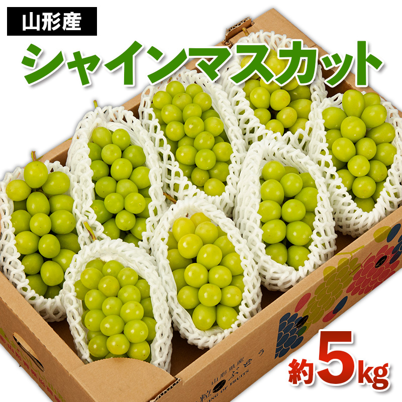 山形産 シャインマスカット 秀 約5kg 【令和7年産先行予約】FS24-748