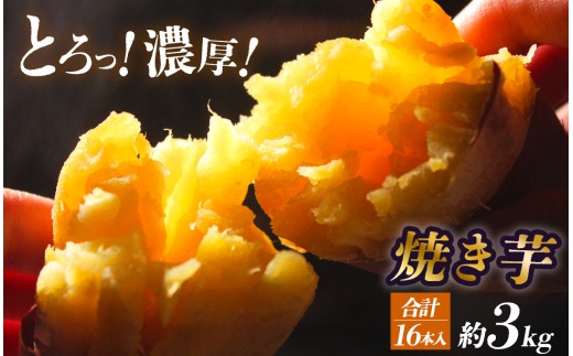 焼き芋 3kg 16本入りパック　【 さつまいも サツマイモ さつま芋 焼き芋 やきいも 冷凍 冷凍焼き芋 おすすめ オススメ 湯の花 伊豆 静岡県 南伊豆町 】 <BC-300>