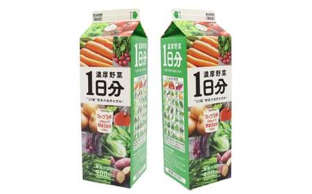 【定期便3カ月】野菜工房　濃厚野菜1日分 6本 | 野菜 ドリンク ジュース 砂糖不使用 食塩不使用 朝食 野菜ジュース 飲みやすい 便利 手軽 おいしい 美味しい 茨城県 古河市 _DT16