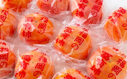 【先行予約】伊藤園 冷蔵富有柿 （3Lサイズ） 12玉から14玉 約5kg 【2025年12月中旬から12月下旬出荷予定】 ／ 富有柿 柿 果物 フルーツ くだもの うきは市