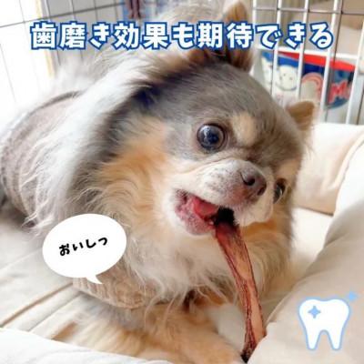 ふるさと納税 南アルプス市 南アルプスの天然鹿肋ジャーキーセット ワンちゃんの贅沢おやつ【肋(大)50g×2袋セット】 |  | 03
