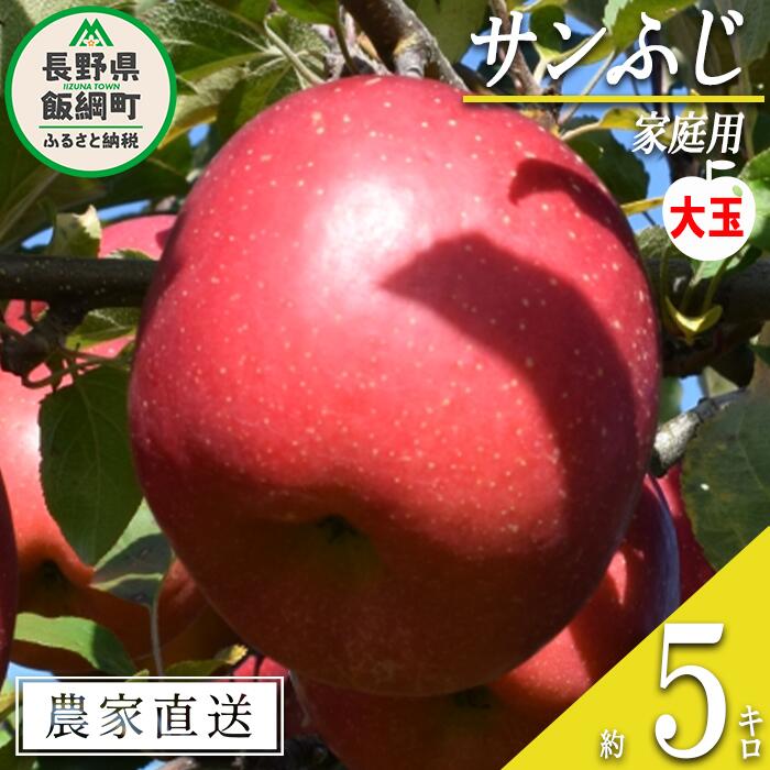 【ふるさと納税】 りんご サンふじ ( 大玉 ) 家庭用 5kg ファームたんぽぽ 沖縄県への配送不可 令和7年度収穫分 長野県 飯綱町 〔 信州 果物 フルーツ リンゴ 林檎 長野 13000円 予約 農家直送 〕発送時期：2025年12月上旬〜2025年12月下旬**}