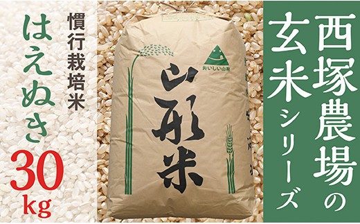 【令和8年産】慣行栽培米 はえぬき 玄米 30kg
