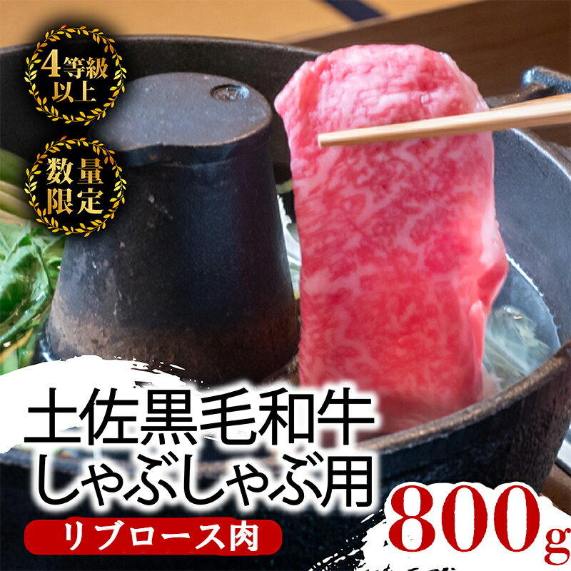 【ふるさと納税】 土佐 黒毛 和牛 しゃぶしゃぶ用 800g | 特撰 リブロース肉 最上位等級 A4 A5 最高ランク 贅沢 しゃぶしゃぶ 鍋 スライス 焼肉用 小分け 冷凍 国産 牛肉 高知県 須崎 ふるさと納税和牛 TM015