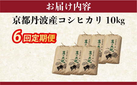 【6回定期便】令和7年産 コシヒカリ 10kg 定期便 精米 白米