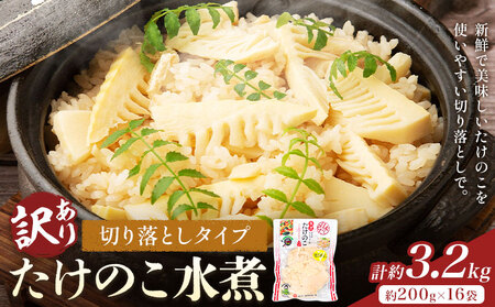 訳あり たけのこ水煮 切り落としタイプ 計約3.2kg(約200g×16袋) 北薩農産加工場《30日以内に出荷予定(土日祝除く)》鹿児島県 たけのこ 筍 水煮 使いやすい 定期便 春 旬 料理 調理