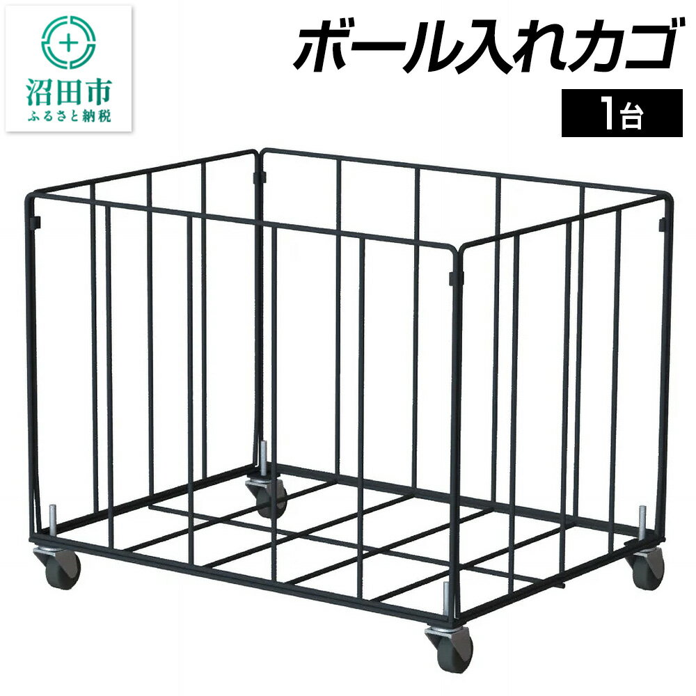 【ふるさと納税】ボール入れカゴ DK061000 株式会社セノテック