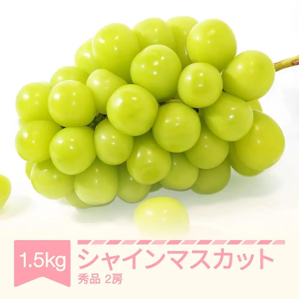 令和8年産 ぶどう シャインマスカット 秀品 約1.5kg (2房)  yi-busmx1500