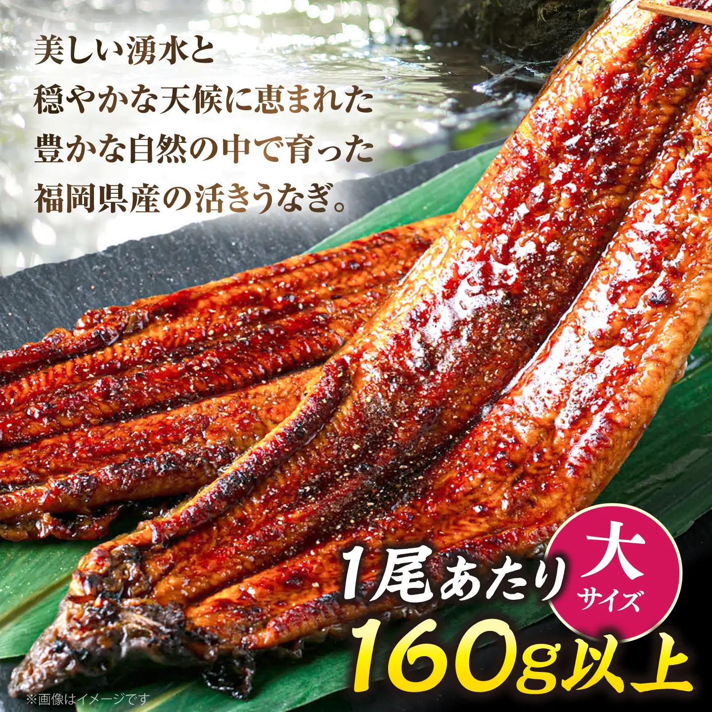 うなぎ 蒲焼大5尾 ウナギ 国産 VAD004