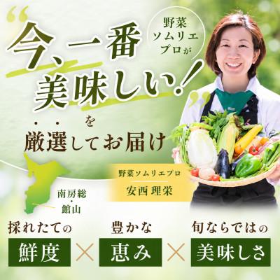 ふるさと納税 館山市 【毎月定期便】【下旬発送】こだわりの旬野菜BOX「リエビン」季節の野菜セット全6回 |  | 01