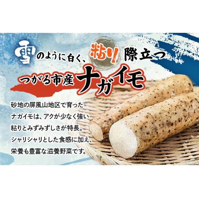 ふるさと納税 つがる市 ながいも「もちとろろ」真空パック 15袋 (約3kg) [0966] |  | 01