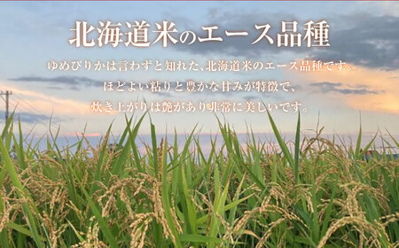 【令和7年産】 ゆめぴりか （無洗米） 10kg×2袋 20kg 北海道 鷹栖町 たかすのおむすび 米 コメ ご飯 無洗米 お米