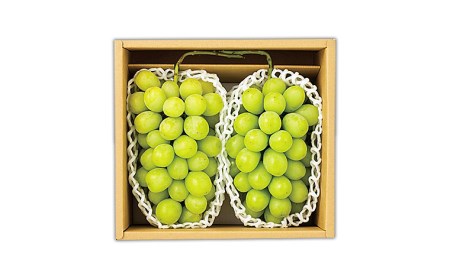 山形市産 シャインマスカット 秀 1.4kg(2房) FS21-607