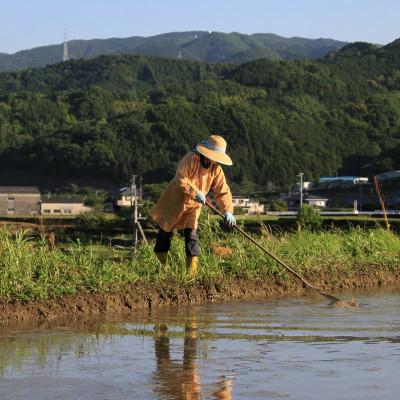 ふるさと納税 東温市 〈坂本自然農場 穂田琉〉 JINEN:ひのひかり　精米2kg |  | 02