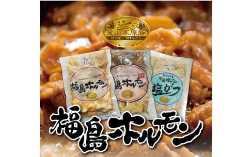 No.1253福島ホルモン3点セット（醤油、味噌、塩がつ）麓山高原豚使用　【各5パック、計15パック入】