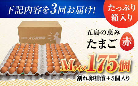 【3回定期便】【箱入り】五島の恵みたまご Mサイズ 175個入 / 卵 赤玉子 五島市 / 五島列島大石養鶏場[PFQ020]  玉子 タマゴ 鶏卵 希少 五島列島