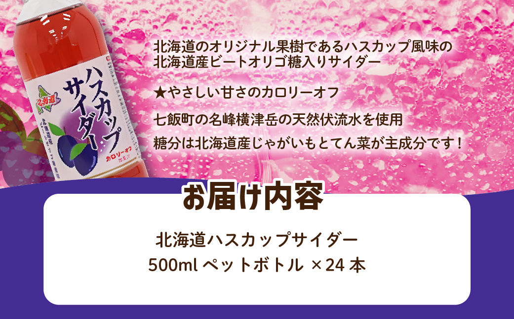 【先行予約】【2026年1月20日より順次発送】ハスカップサイダー24本（500mlペットボトル） NAQ009