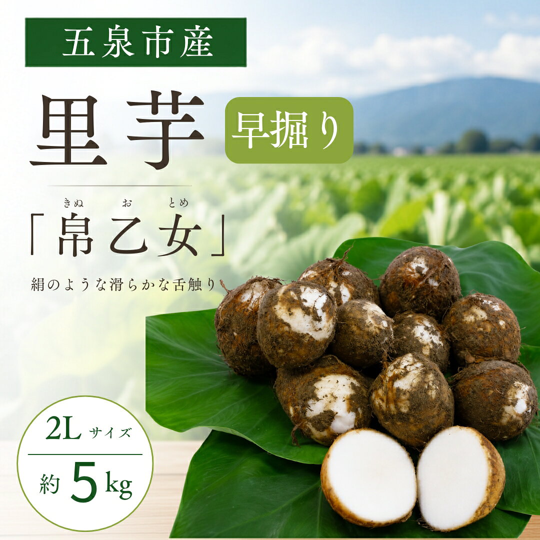 【ふるさと納税】〈秀品〉とろける食感の早掘り里芋 帛乙女（きぬおとめ） | 五泉ブランド野菜 里芋 サトイモ 贈答用 新潟県 五泉市 五泉市園芸組織連絡協議会