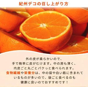 ☆先行予約☆果肉プリプリ♪　完熟紀州デコ(不知火) 約3kg【2024年2月下旬より発送】