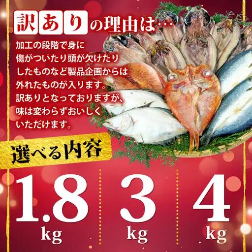 【2026年8月発送】 訳あり干物 約1.8kg 干物