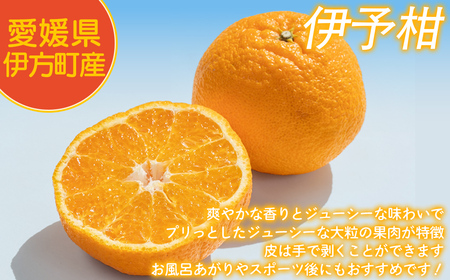 【先行予約】【家庭用】伊予柑 3kg ※北海道・沖縄・離島への配送不可 （2026年1月中旬より順次発送予定） 【 ふるさと納税 人気 おすすめ ランキング 柑橘 みかん ミカン 伊予甘 フルーツ 果
