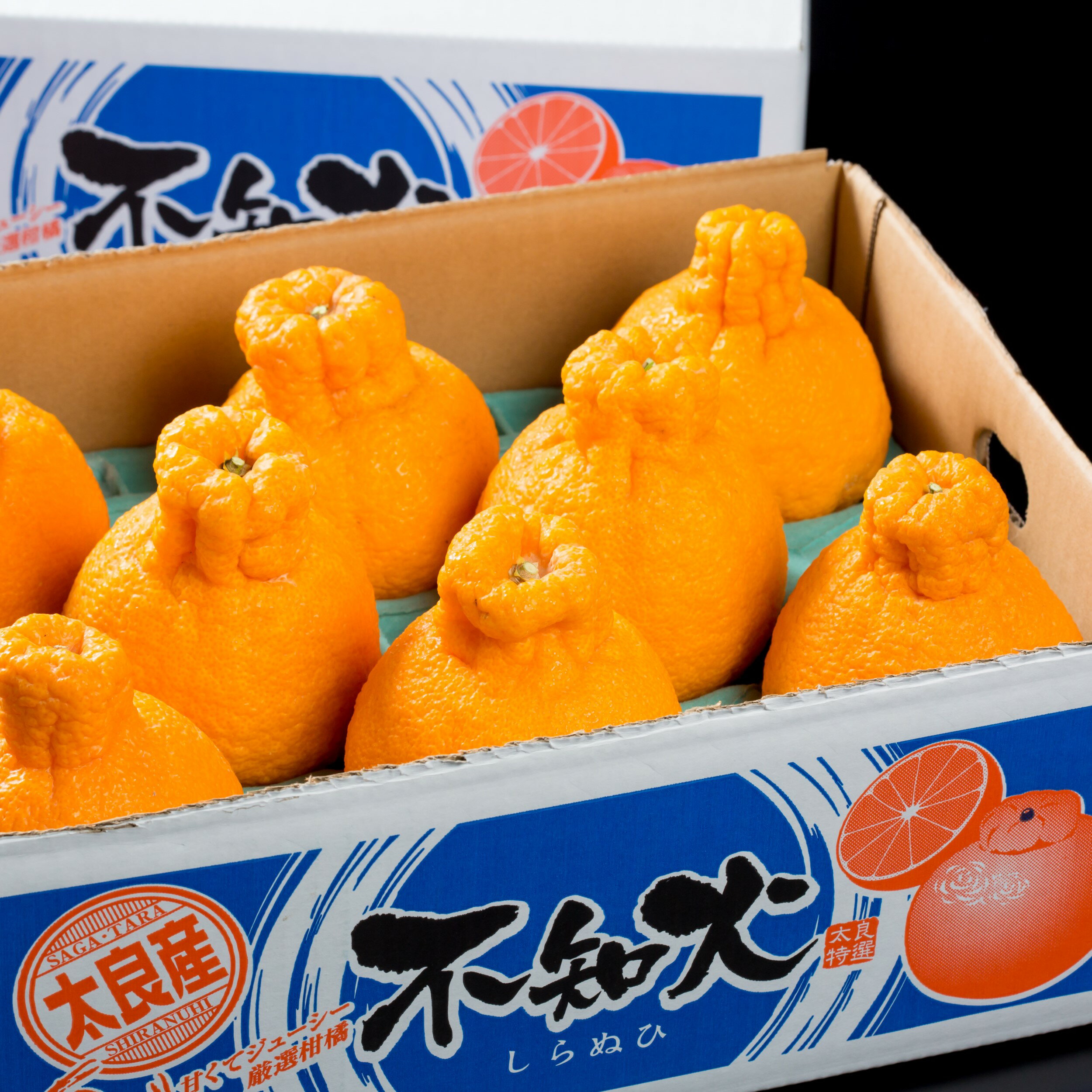 【ふるさと納税】多良岳の恵みで育てたタラデコ （不知火）3kg 【2026年3月上旬～5月下旬発送予定】 M70x1