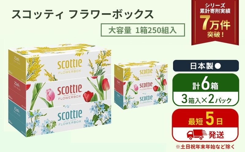 ティッシュ スコッティ フラワーボックス 6箱 ( 3箱 × 2パック )