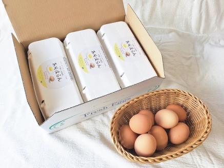 平飼い有精卵（あそぼらん) 60個 たまご タマゴ 玉子【asit0002】