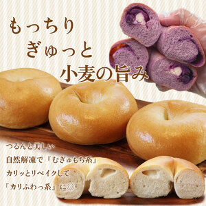 【数量限定・事前予約】『工房ナチュール』の天然酵母ベーグルセット 内容お任せ 12個 【7月発送分受付中！】