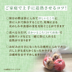 【11月中旬発送】キウイフルーツ ヘイワード キウイ 5kg 船橋市産 やまちょう園 (E034-2025)
