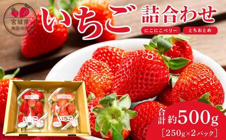 【JAみやぎ仙南】宮城県角田市産いちご　にこにこベリー・とちおとめ詰合せ　合計約500g（250g×2パック） イチゴ 苺 とちおとめ にこにこベリー 