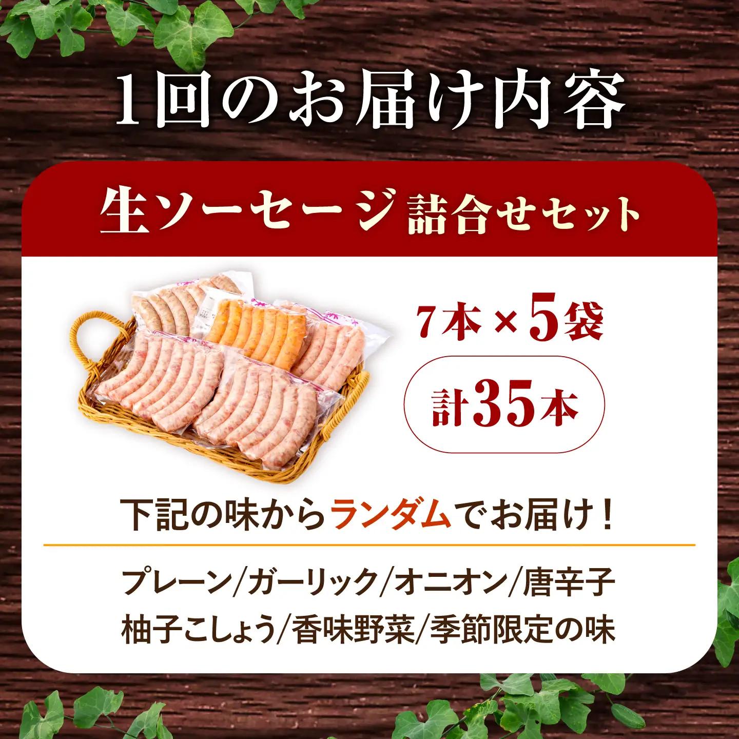 ソーセージ 【35本×3回定期便】生ソーセージ詰め合せ7本入り×5袋 ※無塩せき（亜硝酸ナトリウム不使用） [EAM041]  国産ソーセージ ソーセージウインナー 冷凍 詰合せ 定期便