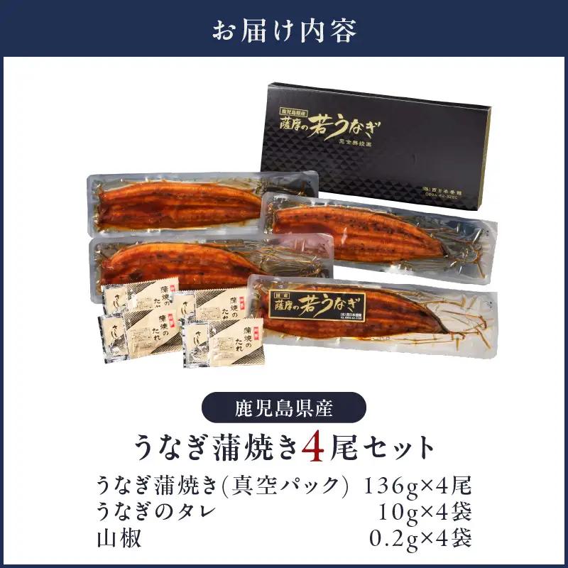  1652-1 鹿児島県産 うなぎ蒲焼き4尾セット KN058-002-04 魚 鰻