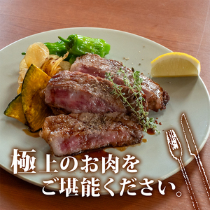 牛肉 ステーキ サーロイン 220g×3枚 特選 サーロイン肉 土佐黒毛和牛 Ａ５～Ａ４ 等級 バーベキュー BBQ 冷凍 高知県 須崎市