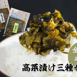 【3回定期便】高菜乃華 3個入りセット 高菜漬一筋-前田食品工業 辛子めんたい高菜 辛子高菜 葉がくれ F15-17