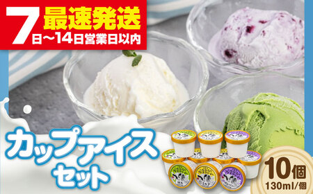 ミルク工房 カップアイスセット（130ml×10個）《喜茂別町》【ニセコリゾート観光協会】 アイス アイス アイス アイス アイス アイス  [AJAI011] 11000 11000円
