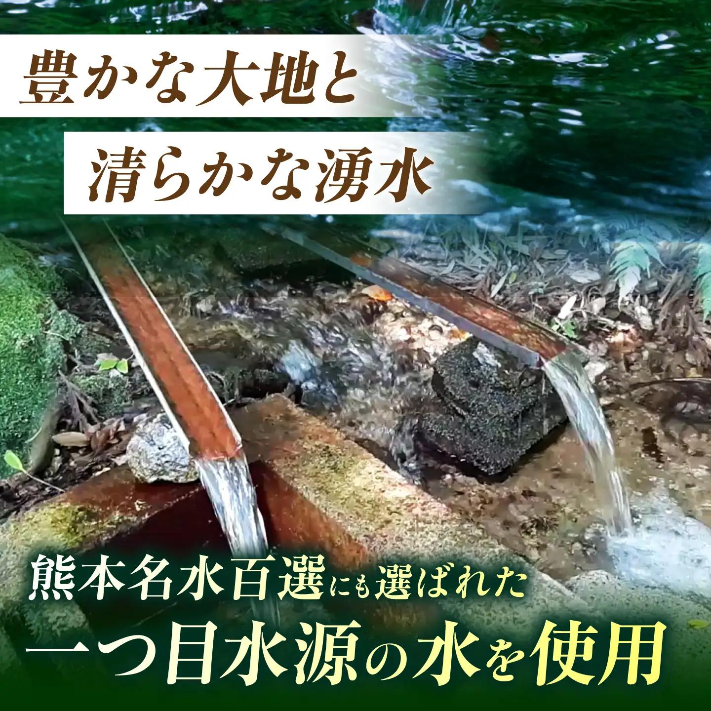 ＼生活応援よか値キャンペーン／先行予約令和8年度産米 白米 10kg くまさんの輝き ZFO003-CP