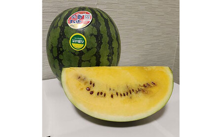西瓜（スイカ）/赤土　金色羅皇 果物 くだもの デザート 石川県 珠洲市