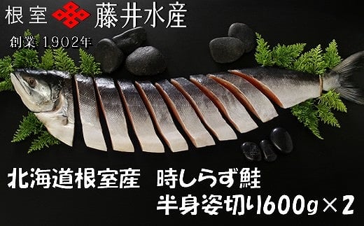 C-42100 【北海道根室産】時しらず鮭切身600g×2P