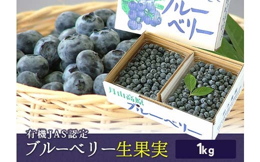 
                  《先行予約 2026年度発送》《数量限定・期間限定》有機JAS認定 栽培ブルーベリー 生果実 1kg FSY-2386
                