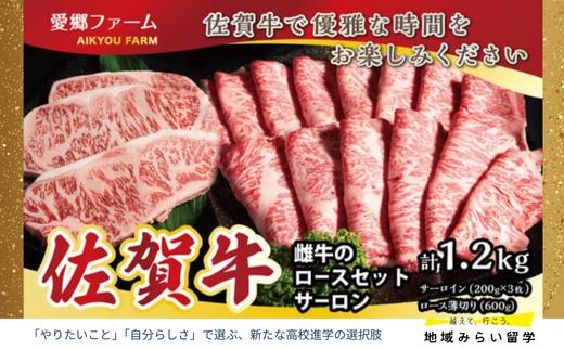 
                  【セット】佐賀牛 雌牛のロースセット(サーロイン・ロース薄切り) 計1.2㎏
                