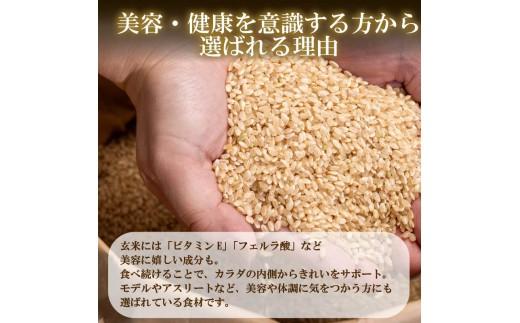 定期便 3回 こしひかり 玄米ごはんパック 120g 24個 玄米 米 お米 ごはん ご飯 こめ パックライス パックご飯 パックごはん ご飯パック ごはんパック パック ライス 備蓄 保存 非常 防
