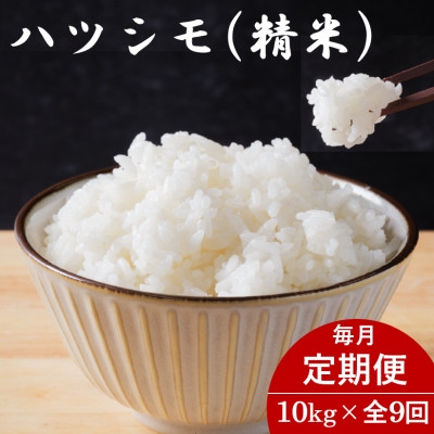 
                  ＜毎月定期便＞岐阜県産ハツシモ(精米) 10kg全9回【4076389】
                