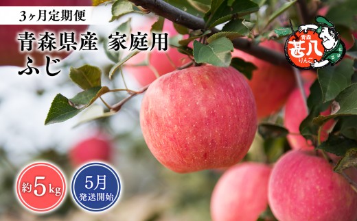 【2027年5月発送開始】青森県産 ふじ りんご 家庭用 約3kg 3ヶ月定期便 青森りんご 林檎 フルーツ 平川市【hi-0058-182】