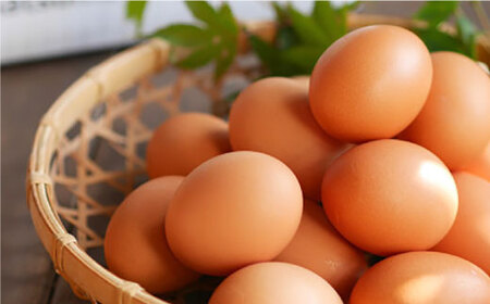 【6回定期便】 まつもとたまご ＆ 平飼い たまご 計40個＜松本養鶏場＞ [CCD023]