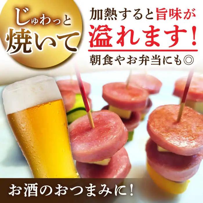 【12回定期便】宮地ハムのロングセラー ボロニアソーセージ 100g×6本 /宮地ハム [UBM013] ソーセージ